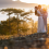 Embracing Love and Adventure: Why Colorado Elopement Videos Are Everything!